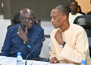 abdoulaye fall et abdoulaye seydou sow